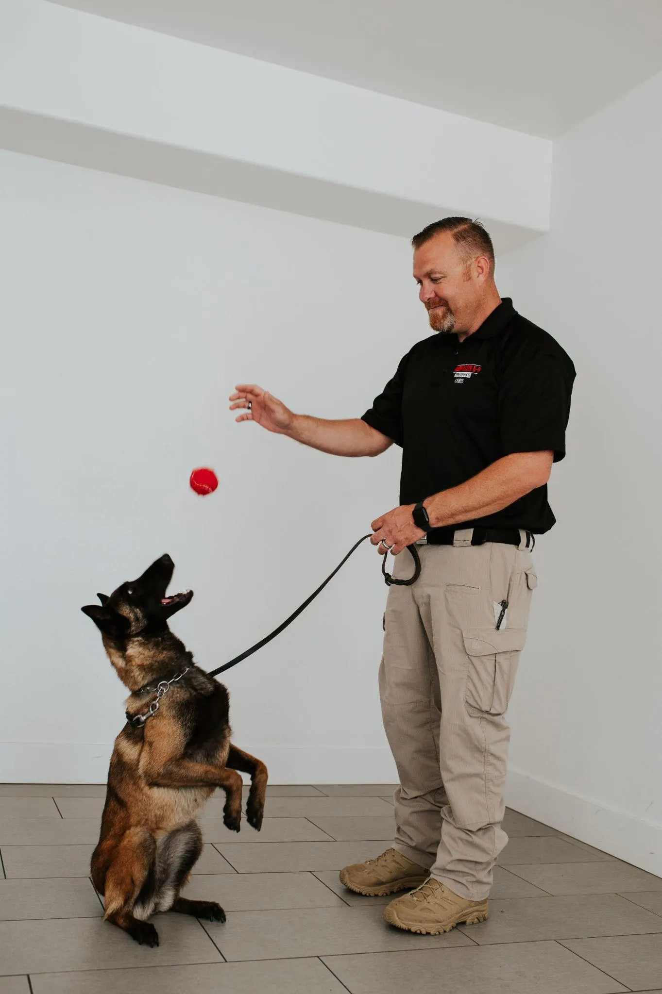 Professional dog training session at Idaho Elite K-9 near Idaho Falls
