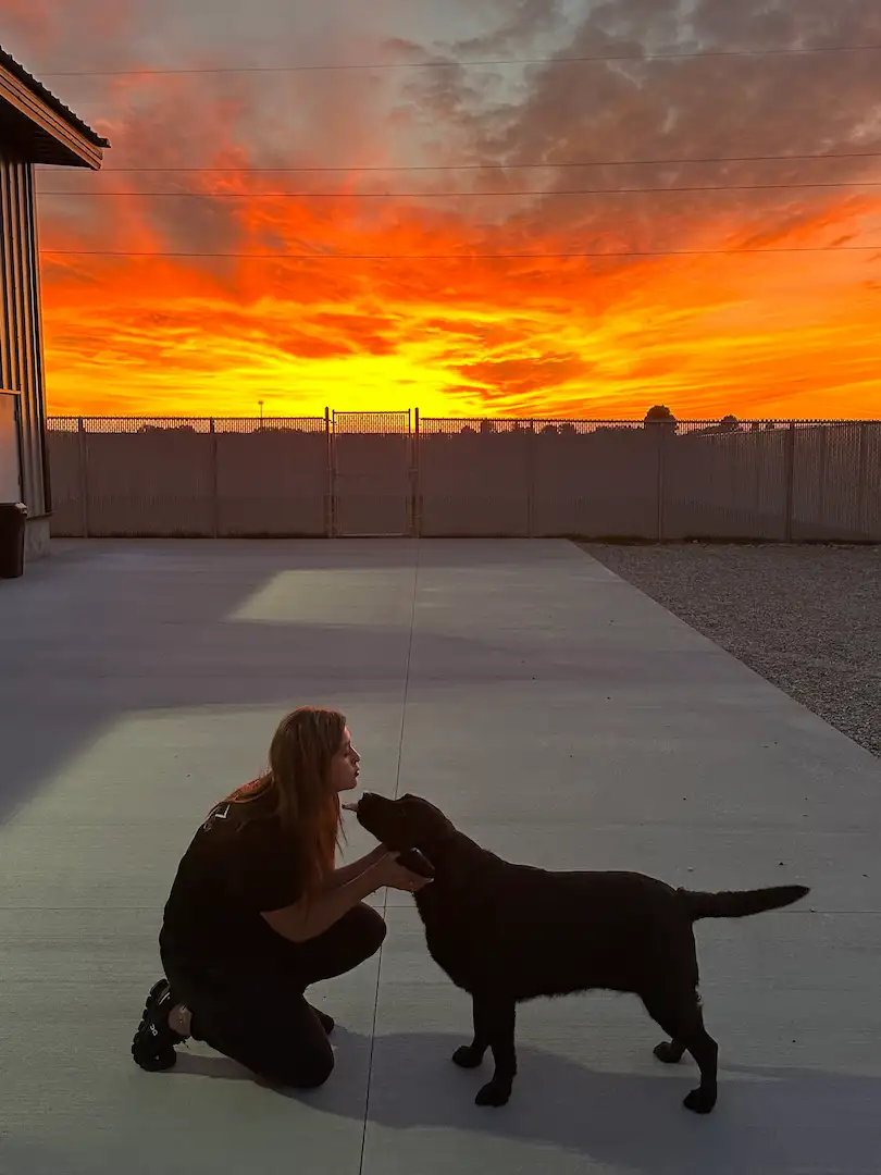 Around-the-clock care for boarded dogs
