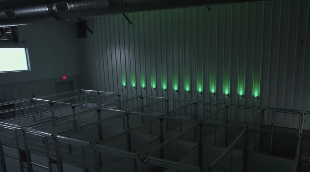 Boarding suite with soft controlled lighting